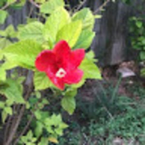 Meet your Posher, Mariposa